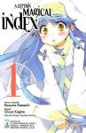 A CERTAIN MAGICAL INDEX N.1